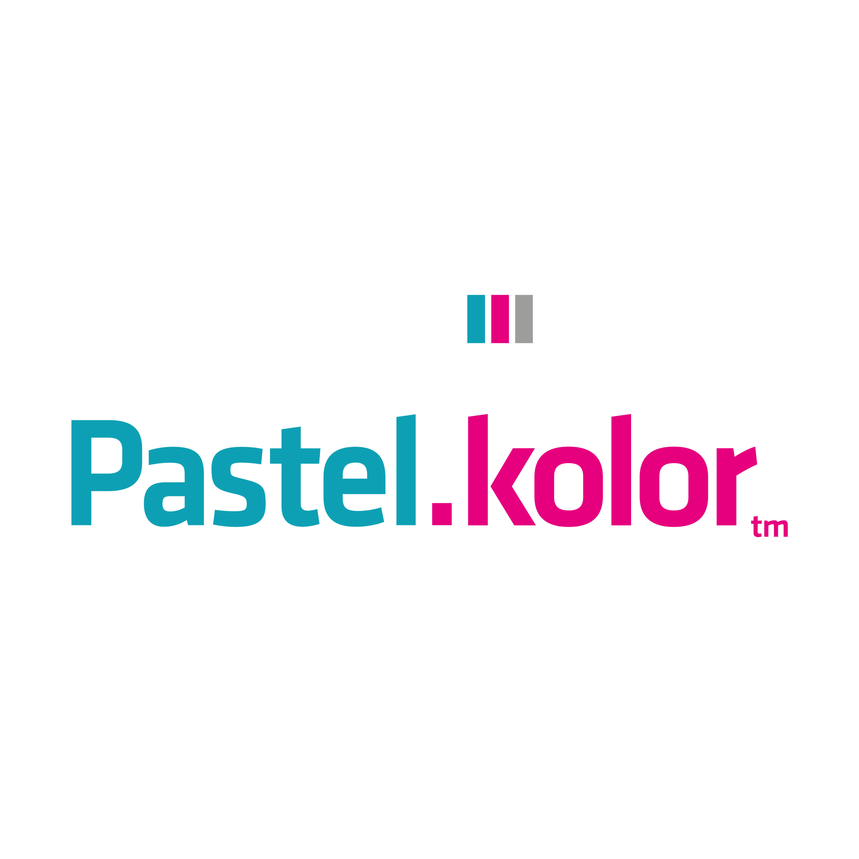 PASTELKOLOR SPÓŁKA Z OGRANICZONĄ ODPOWIEDZIALNOŚCIĄ